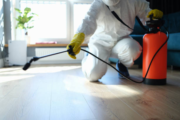 Reliable Odor Removal contractor in Saint George, SC by Trauma Clean Pros